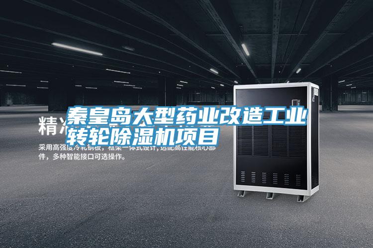 秦皇岛大型药业改造工业转轮蕾丝视频污污污项目