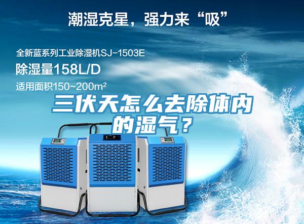 三伏天怎么去除体内的湿气？