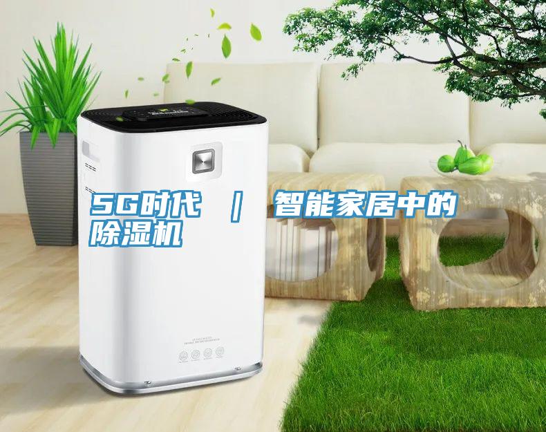 5G时代 ｜ 智能家居中的蕾丝视频污污污