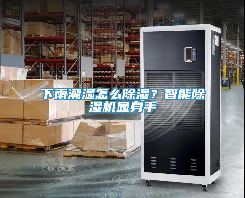 下雨潮湿怎么除湿？智能蕾丝视频污污污显身手