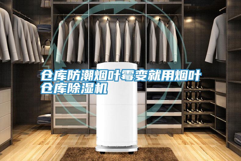 仓库防潮烟叶霉变就用烟叶仓库蕾丝视频污污污