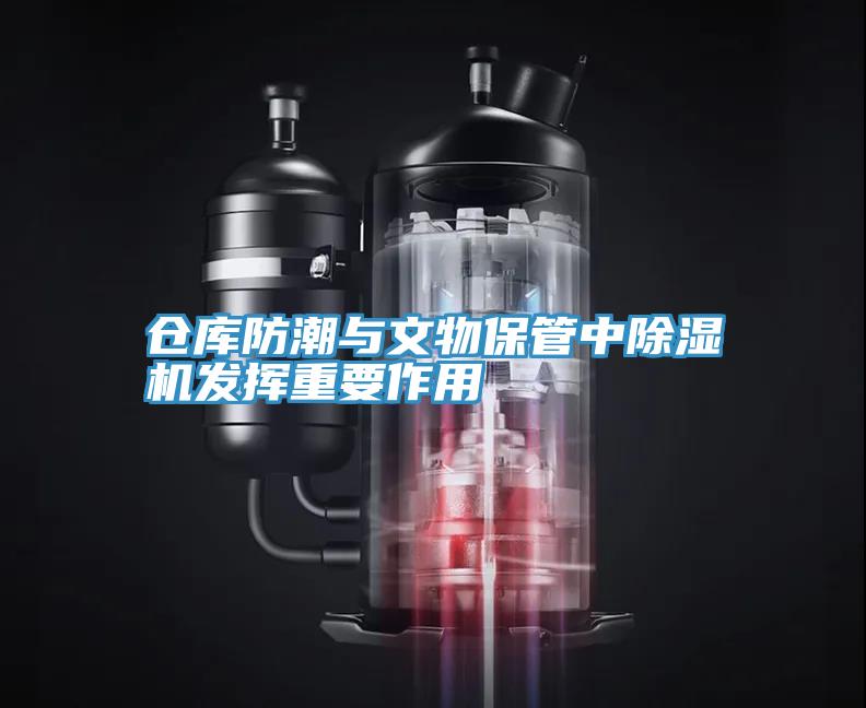 仓库防潮与文物保管中蕾丝视频污污污发挥重要作用