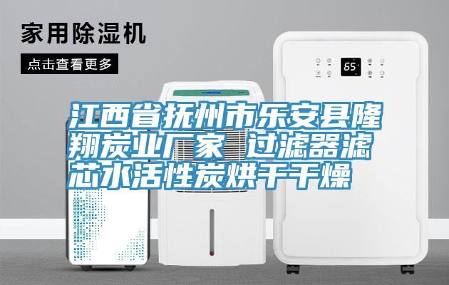 江西省抚州市乐安县隆翔炭业厂家 过滤器滤芯水活性炭烘干干燥