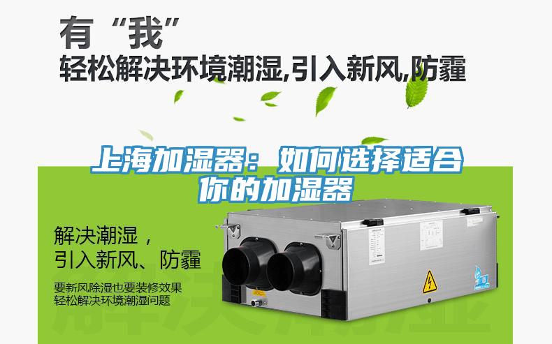 上海加湿器：如何选择适合你的加湿器