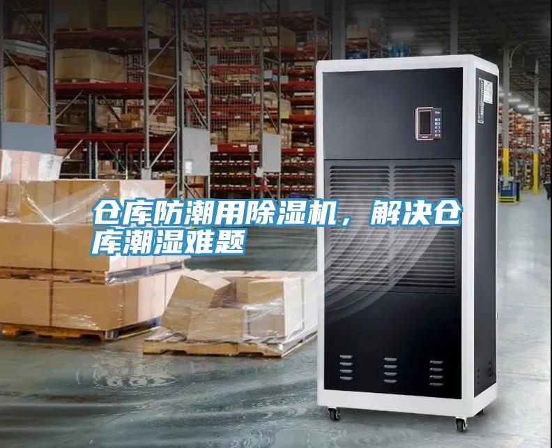 仓库防潮用蕾丝视频污污污，解决仓库潮湿难题