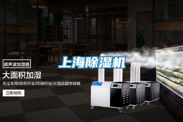 上海蕾丝视频污污污