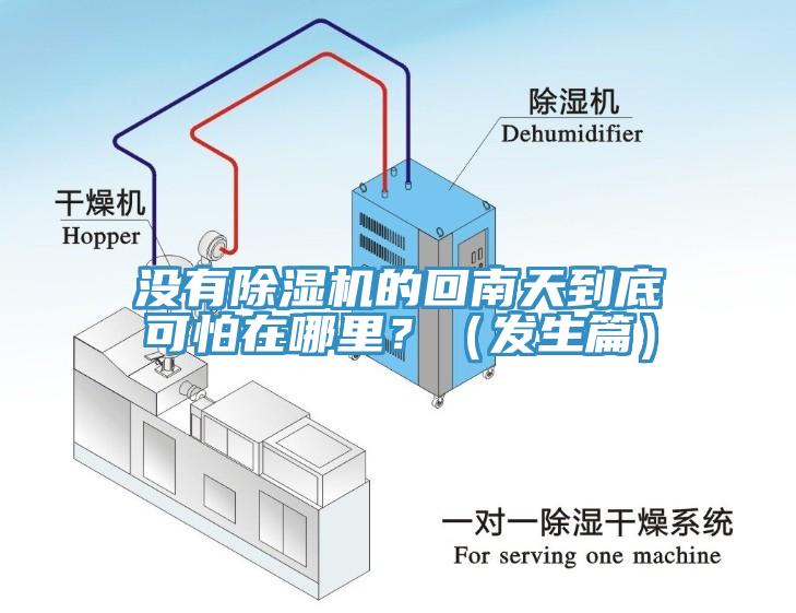 没有蕾丝视频污污污的回南天到底可怕在哪里？（发生篇）