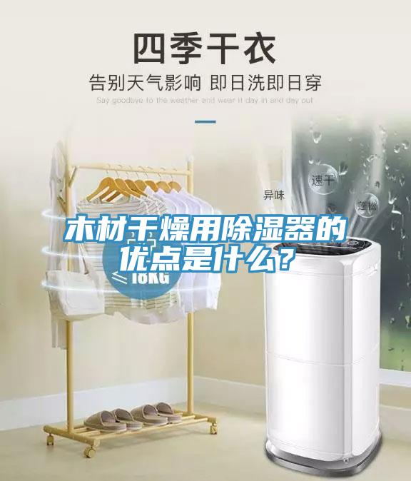 木材干燥用除湿器的优点是什么？