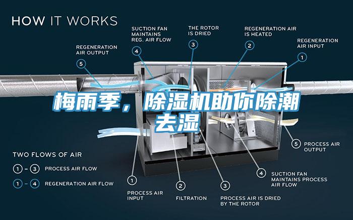 梅雨季，蕾丝视频污污污助你除潮去湿