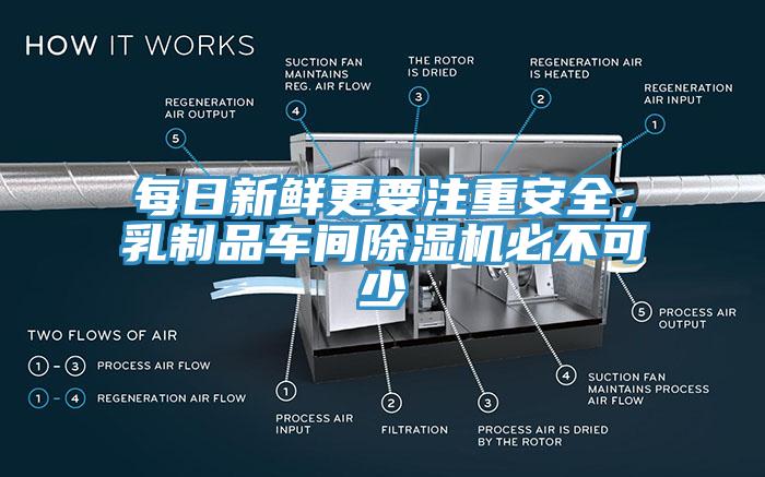 每日新鲜更要注重安全，乳制品车间蕾丝视频污污污必不可少