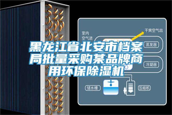 黑龙江省北安市档案局批量采购某品牌商用环保蕾丝视频污污污