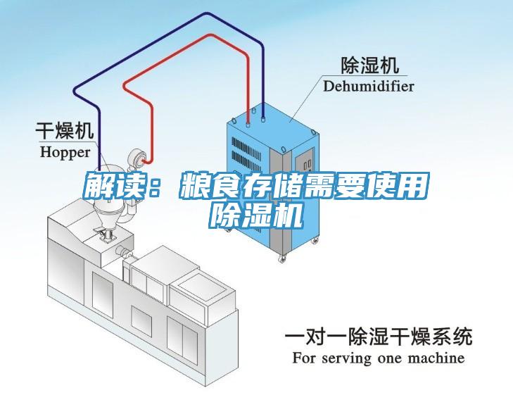 解读：粮食存储需要使用蕾丝视频污污污