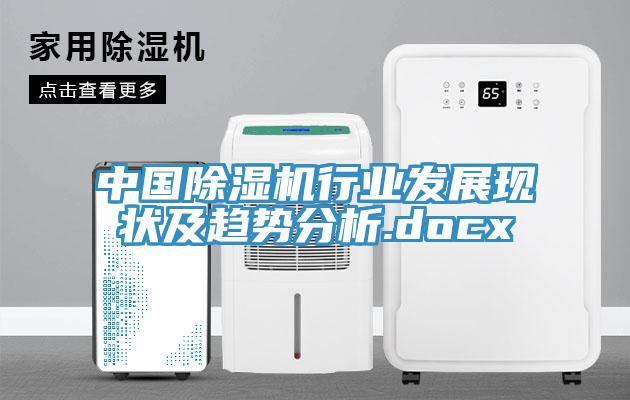 中国蕾丝视频污污污行业发展现状及趋势分析.docx