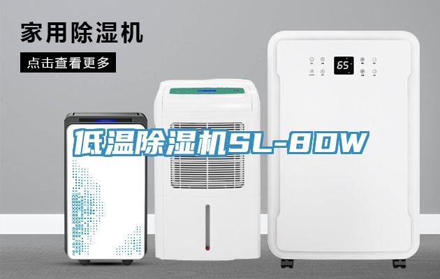 低温蕾丝视频污污污SL-8DW