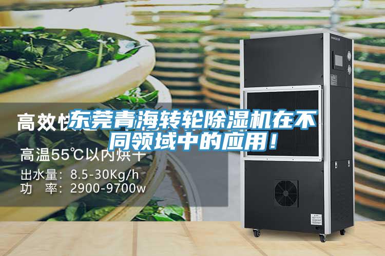 东莞青海转轮蕾丝视频污污污在不同领域中的应用！