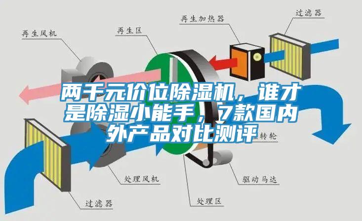 两千元价位蕾丝视频污污污，谁才是除湿小能手，7款国内外产品对比测评