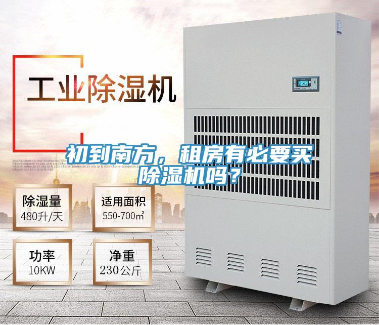 初到南方，租房有必要买蕾丝视频污污污吗？