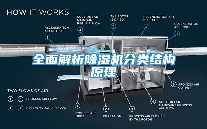 全面解析蕾丝视频污污污分类结构原理