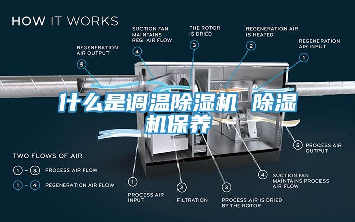 什么是调温蕾丝视频污污污 蕾丝视频污污污保养