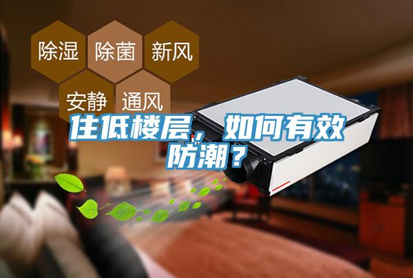 住低楼层，如何有效防潮？
