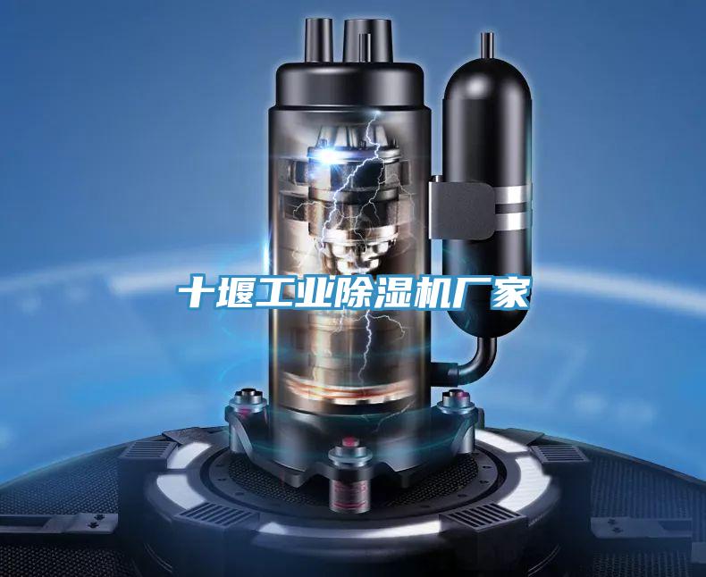 十堰工业蕾丝视频污污污厂家