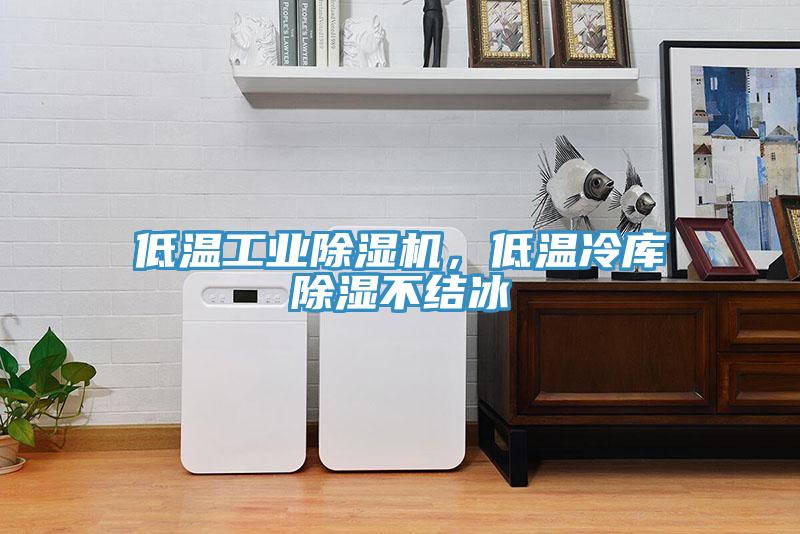 低温工业蕾丝视频污污污，低温冷库除湿不结冰