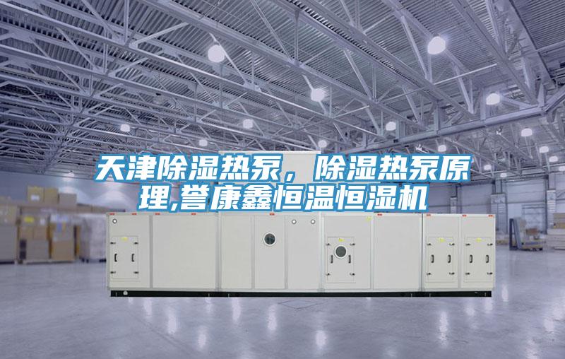 天津除湿热泵，除湿热泵原理,誉康鑫恒温恒湿机