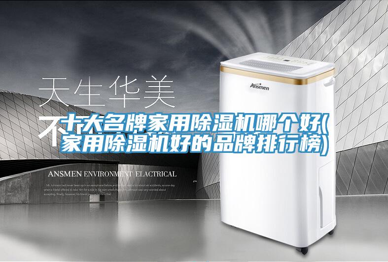 十大名牌家用蕾丝视频污污污哪个好(家用蕾丝视频污污污好的品牌排行榜)