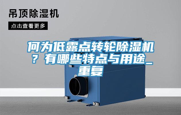 何为低露点转轮蕾丝视频污污污？有哪些特点与用途_重复