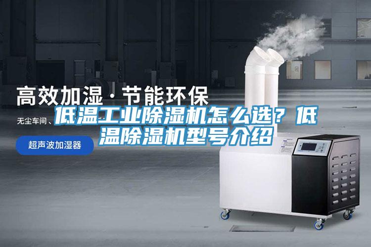 低温工业蕾丝视频污污污怎么选？低温蕾丝视频污污污型号介绍