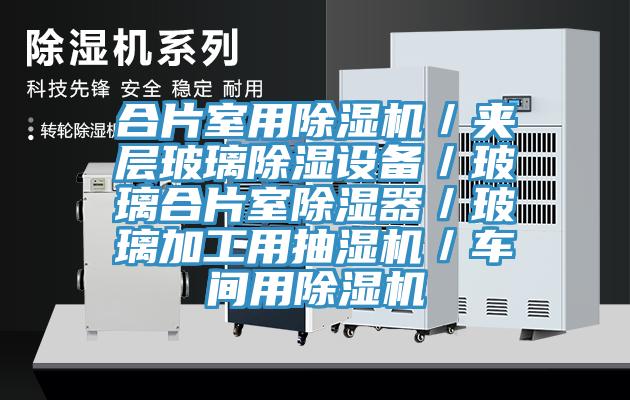 合片室用蕾丝视频污污污／夹层玻璃除湿设备／玻璃合片室除湿器／玻璃加工用抽湿机／车间用蕾丝视频污污污