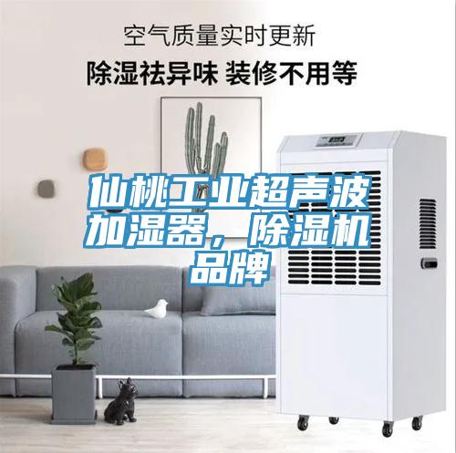 仙桃工业超声波加湿器，蕾丝视频污污污品牌