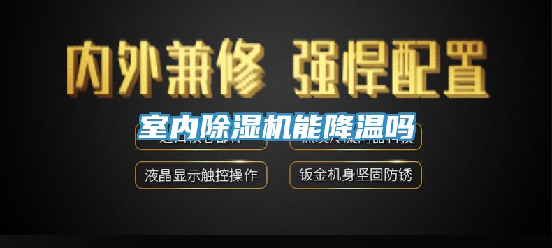 室内蕾丝视频污污污能降温吗