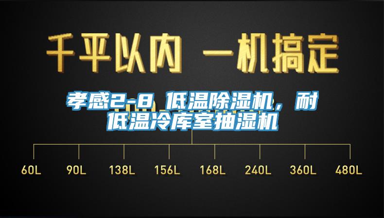 孝感2-8℃低温蕾丝视频污污污，耐低温冷库室抽湿机