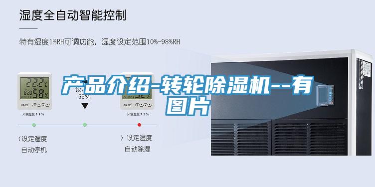 产品介绍-转轮蕾丝视频污污污--有图片