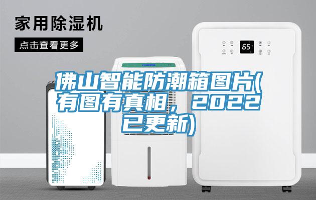 佛山智能防潮箱图片(有图有真相，2022已更新)