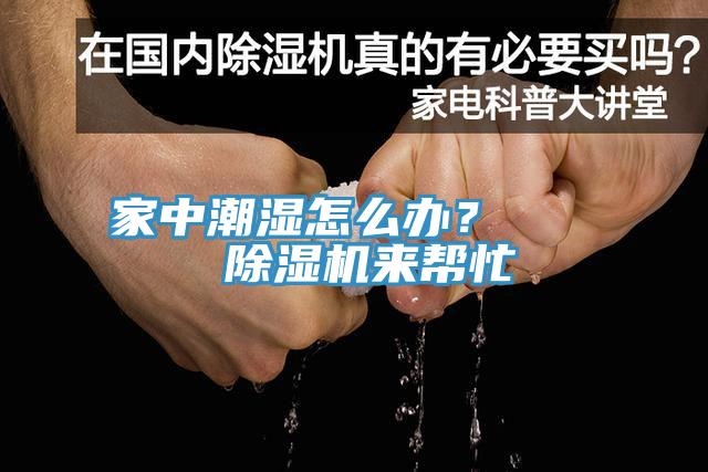 家中潮湿怎么办？    蕾丝视频污污污来帮忙