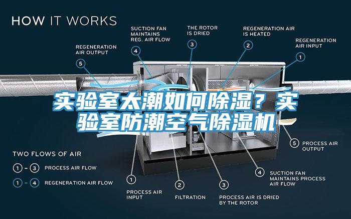 实验室太潮如何除湿？实验室防潮空气蕾丝视频污污污