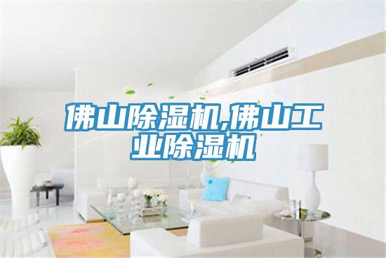 佛山蕾丝视频污污污,佛山工业蕾丝视频污污污