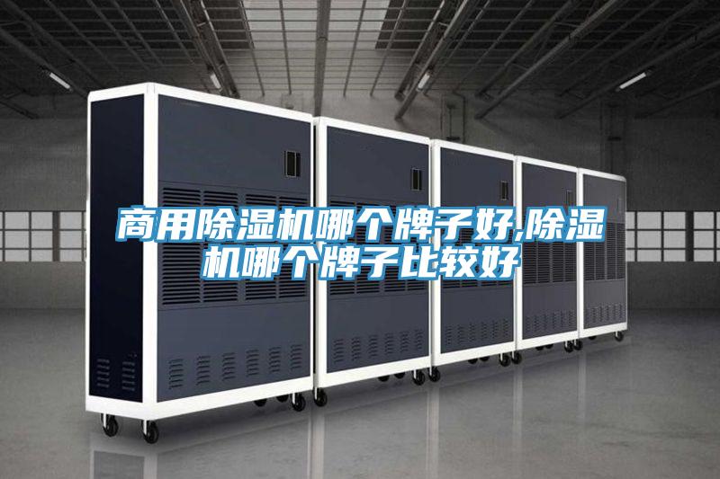 商用蕾丝视频污污污哪个牌子好,蕾丝视频污污污哪个牌子比较好