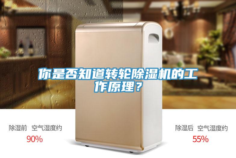 你是否知道转轮蕾丝视频污污污的工作原理？