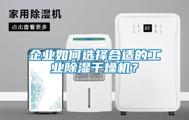 企业如何选择合适的工业除湿干燥机？
