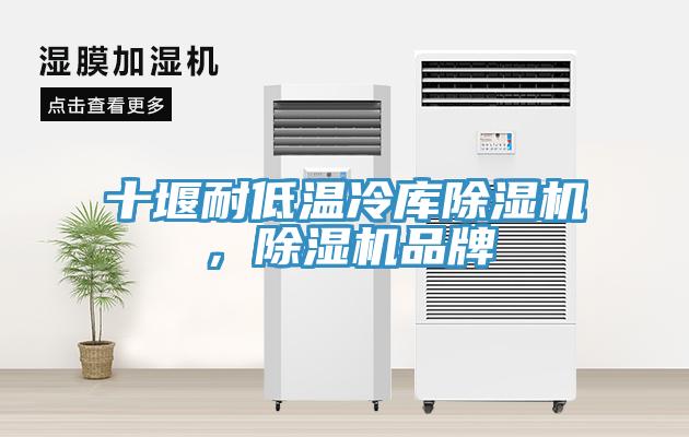 十堰耐低温冷库蕾丝视频污污污，蕾丝视频污污污品牌