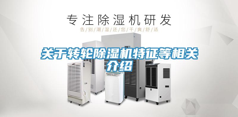 关于转轮蕾丝视频污污污特征等相关介绍