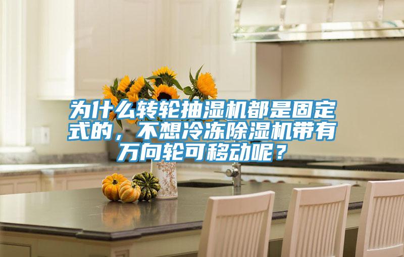 为什么转轮抽湿机都是固定式的，不想冷冻蕾丝视频污污污带有万向轮可移动呢？