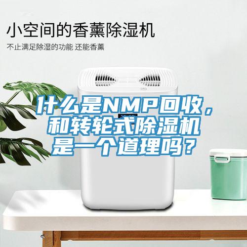 什么是NMP回收，和转轮式蕾丝视频污污污是一个道理吗？