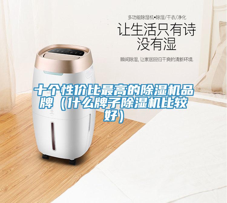 十个性价比最高的蕾丝视频污污污品牌（什么牌子蕾丝视频污污污比较好）