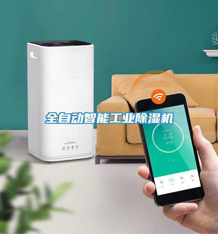 全自动智能工业蕾丝视频污污污