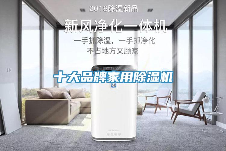 十大品牌家用蕾丝视频污污污