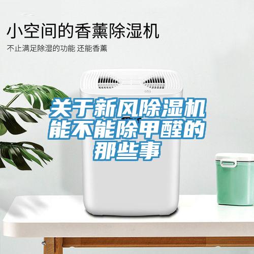 关于新风蕾丝视频污污污能不能除甲醛的那些事